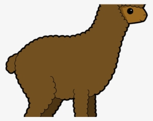 Transparent Stock Drawn Free On Dumielauxepices - Alpaca Png