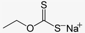 Sodium Ethylxanthate 2d Skeletal - Sodium Hexanoate