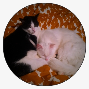 The Whales Fill Christabel's Heart With Fear - Asian