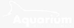 Logo Mono Blanco - Leinster Rugby Logo White