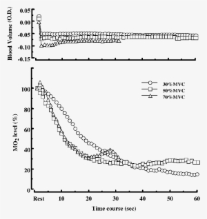 The Kinetics Of Muscle Oxygenation And Blood Volume - Diagram