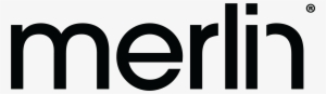 Merlin International Merlin International - Merlin International Logo