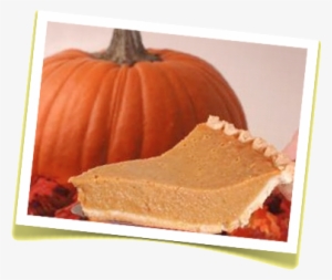 This Issue's Recipe Is Actually 3 Different Versions - Ultimate Pumpkin Pie Recipe Cookbook By Sofie Cohen