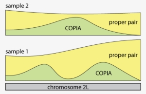 This Raises The Question How Signatures Of Te Insertions - Illustration