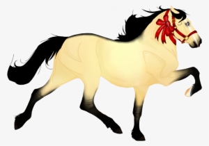 Silver Bay Roan