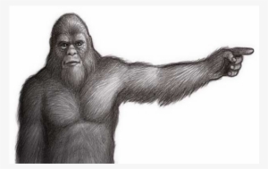 Bigfoot - Sasquatch Drawing