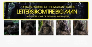 Sasquatch Movie - Letters From The Big Man