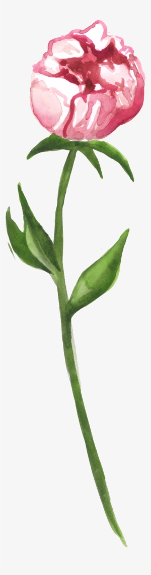 Wrapped Flower Heart Transparent Decorative - Cartoon