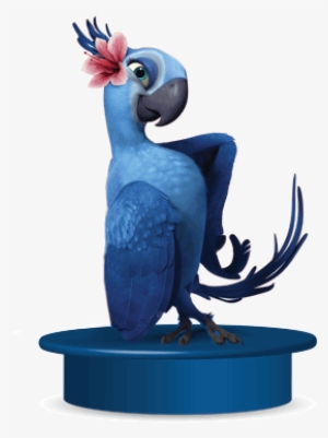 Rio Topper Jewel - Rio Jewel