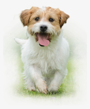 Our Customers Are Important To Us And We Would Like