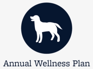 Animal Hospital Wellness Plans Offered In Cypress - Starch Pet Hospital