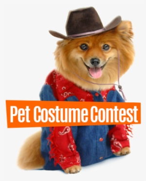 The Largest Pet Expo On The East Coast - Pittsburgh