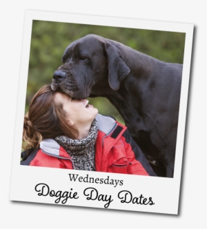 Giant Low Energy Dogs