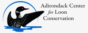 Aclc Logo Bt Right 4 18 - Adirondack Center For Loon Conservation