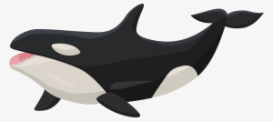 View Full Size - Orca Transparent
