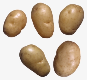 Potato Png Images, Pictures, Free Download - Potato Transparent Background Png