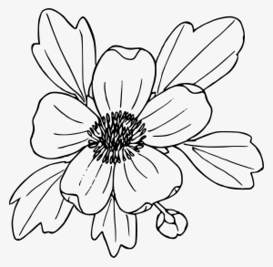 This Free Icons Png Design Of Sagebrush Buttercup