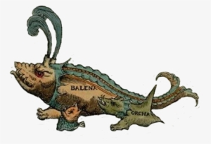 Carta Marina Orca-2 - Carta Marina Orca