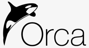 Orca - Co2re Intima Logo