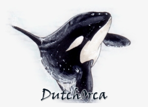 Thursday Evening Orca Sketches In My Toned Tan - Design Ideas