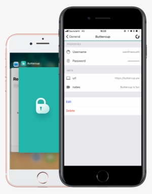 Buttercup Desktop - Computer Science