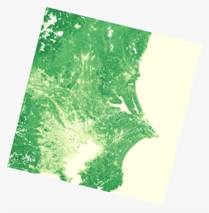 Sample Ndvi Thumbail