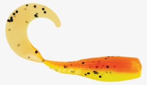 2″ Curly Tail Crappie Minnr In Candy Corn - Illustration