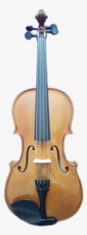 A 16" Viola For Rent At Quantum Bass Center