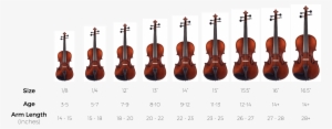Specs - Eastman Vl405 4/4 Violin