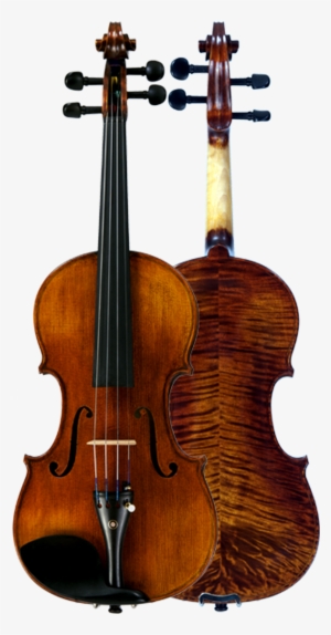 Step-up Violas - Amati Viola