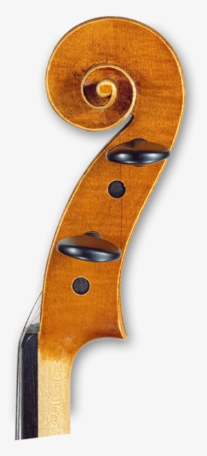 I Am Still Trying To Find My Ideal Viola Tone - Viola