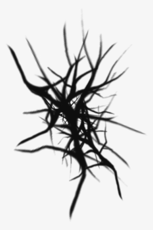 Tree Clipart Vector Psd Free, Tree Png Plan, Tree Clipart, - Portable Network Graphics