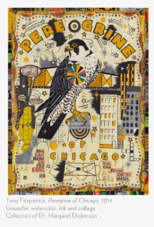The Secret Birds - Chicago
