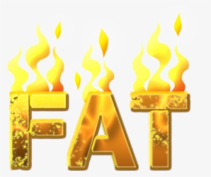 Do Jitter Free Fat Burner Supplements Work Fat Loss - Burns Fat