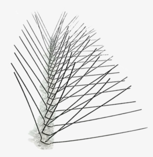 Stainless Steel Spikes 10′, 25′, 50′ And 100′ - Bird X Bird Spikes Stainless Steel