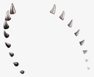 $59 - Spiral
