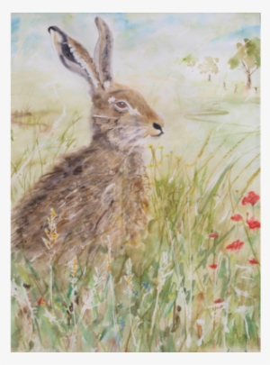 Hare's Breath - Hare