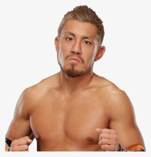 Akira Tozawa - Professional Wrestling