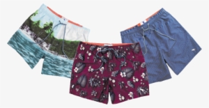 Catch Of The Day “swimming, Swimming, Swimming, Swimming, - Board Short