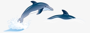 Porpoise Drawing Blue Dolphin - Dolphin Illustration Png
