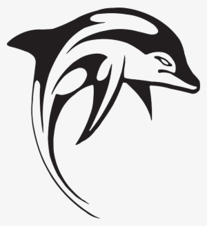 Angry, Dolphin, Swim, Animal, Aquatic, Swimming - Dolphin Black And White Vector