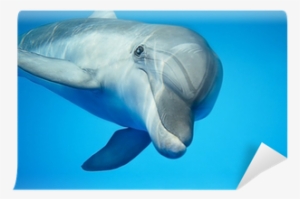 Don T Let Negative People Drag You Down