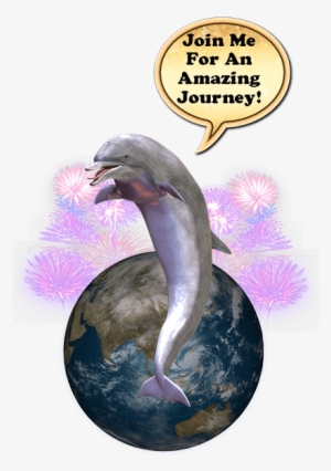 Where's The Dolphin Sticker Pack For Imessage Messages - Where's The Dolphin? Story And Fun Games