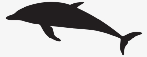 Dolphin Silhouette Png Picture Free Download - Dolphin Silhouette Png