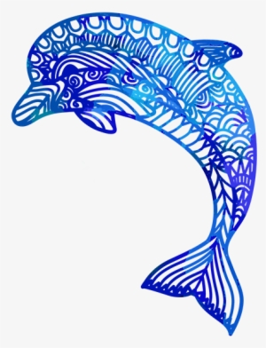 Dolphin1 Copy - Portable Network Graphics