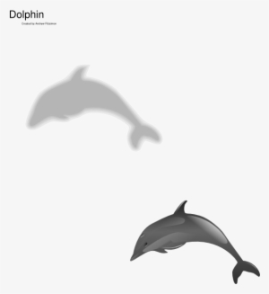 Dolphin Grey