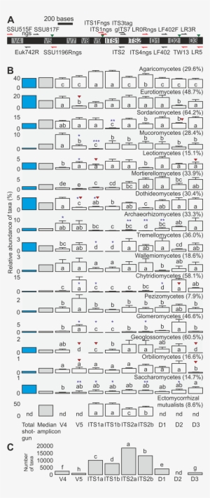 Musical Composition