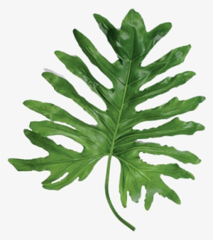 Statement Leaves - Split Leaf Png Transparent