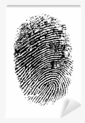 Rumi Quotes Minimalist