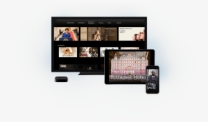 Grand Budapest Hotel Movie Poster 11inx17in Mini Poster